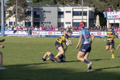 IMG_1582