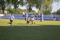 IMG_1622