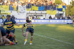 IMG_1785