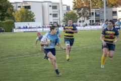 IMG_1817