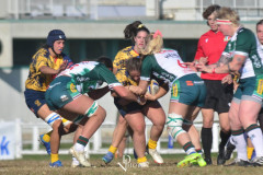 DSC_6620-Villorba-Rugby
