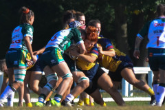 DSC_6639-Villorba-Rugby