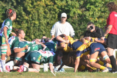 DSC_6703-Villorba-Rugby