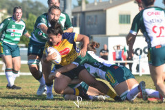 DSC_6764-Villorba-Rugby