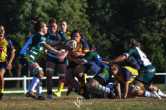 DSC_6860-Villorba-Rugby