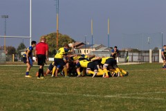 IMG_4293