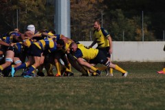 IMG_4331