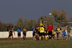 IMG_4397