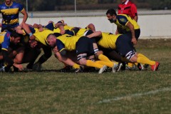 IMG_4427
