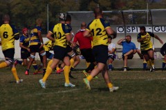 IMG_4488