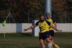 IMG_4534