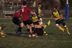 IMG_2202