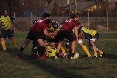 IMG_2206