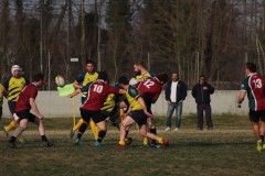 IMG_2221