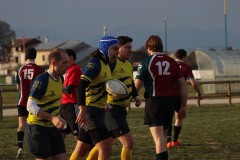 IMG_2229