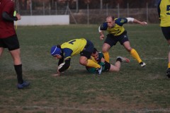 IMG_2264