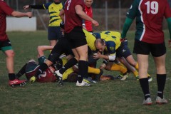 IMG_2277