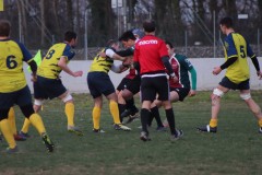 IMG_2437