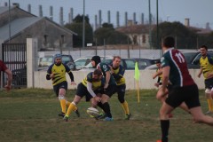 IMG_2470