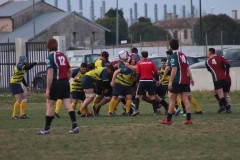 IMG_2484