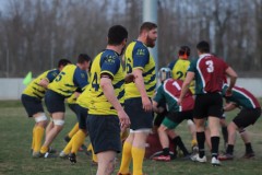 IMG_2516