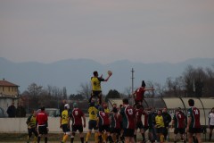 IMG_2525