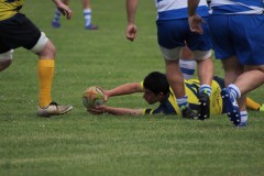 IMG_0512