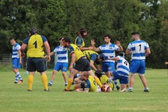 IMG_0698