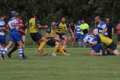IMG_0854