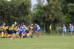 IMG_0923
