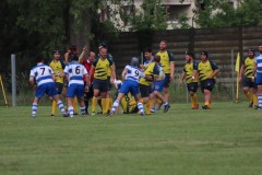 IMG_0960