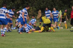 IMG_1070