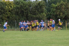 IMG_1551