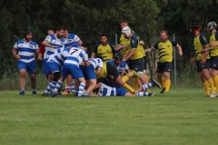 IMG_1557