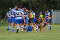 IMG_1586