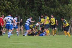 IMG_1599