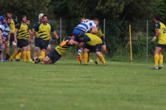 IMG_1605