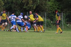 IMG_1620