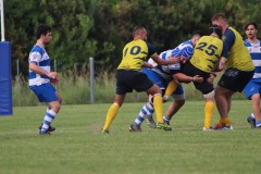 IMG_1808