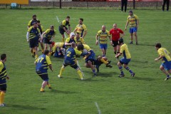 IMG_3442