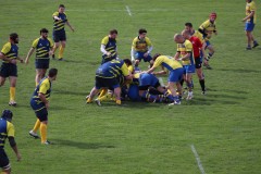 IMG_3444