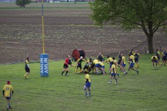 IMG_3596