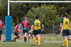 ANT_5726