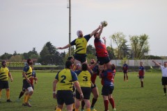 IMG_4619