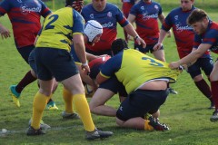 IMG_4646
