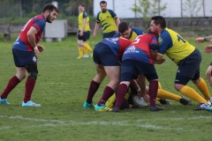 IMG_5541