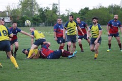 IMG_5718
