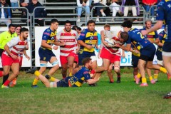 DSC_1745-Villorba-Rugby