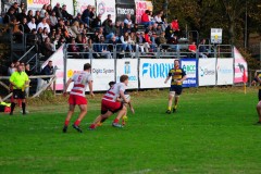 DSC_1751-Villorba-Rugby