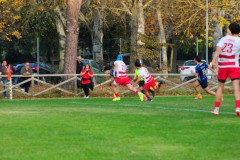 DSC_1795-Villorba-Rugby